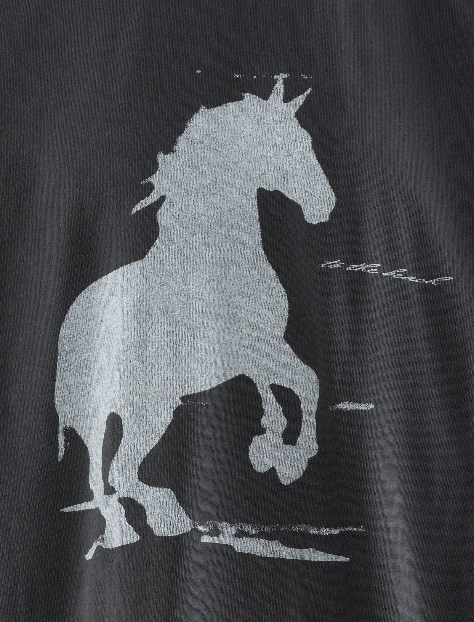 HORSE TO THE BEACH TEE