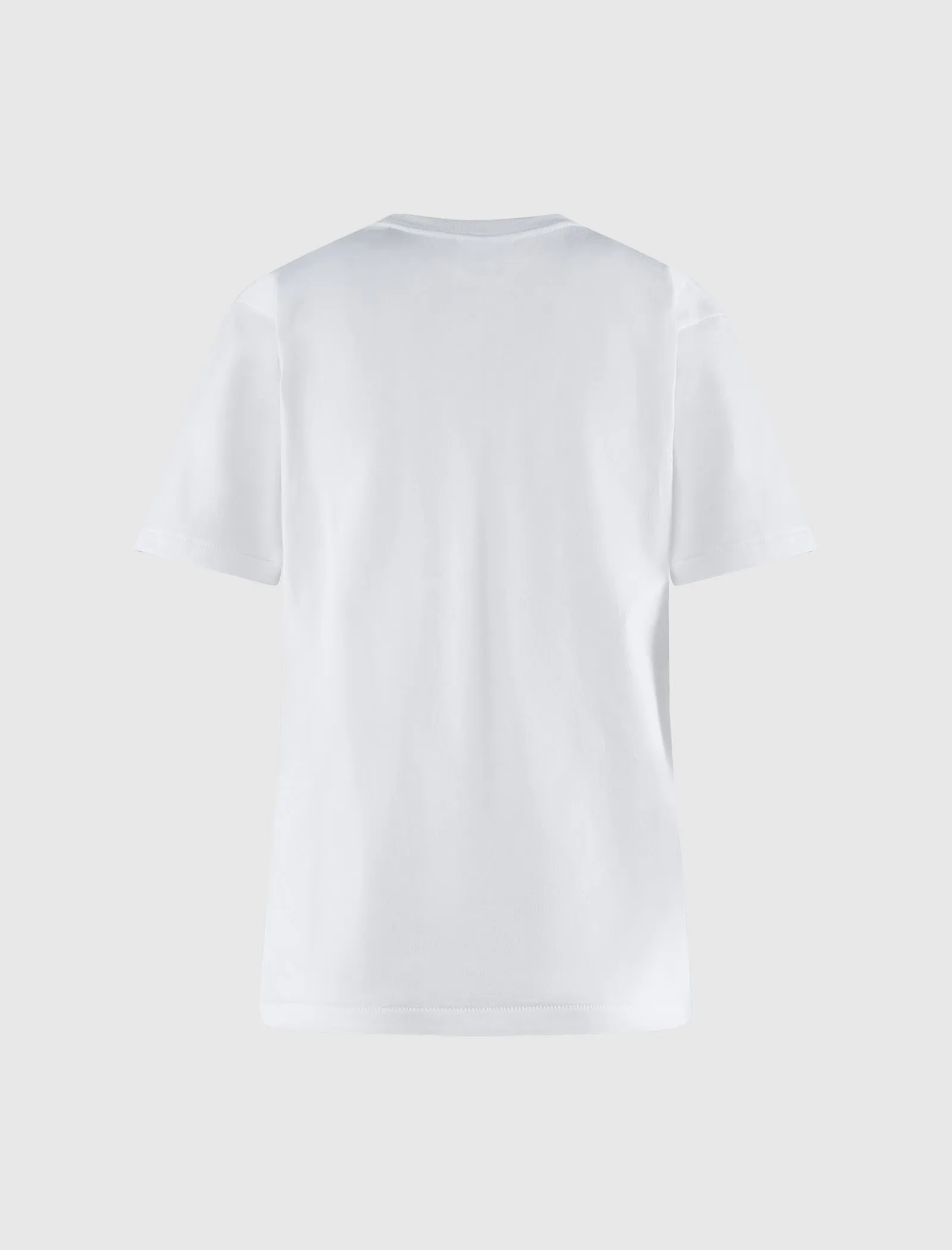 WOMEN'S GRADATION APE TEE
